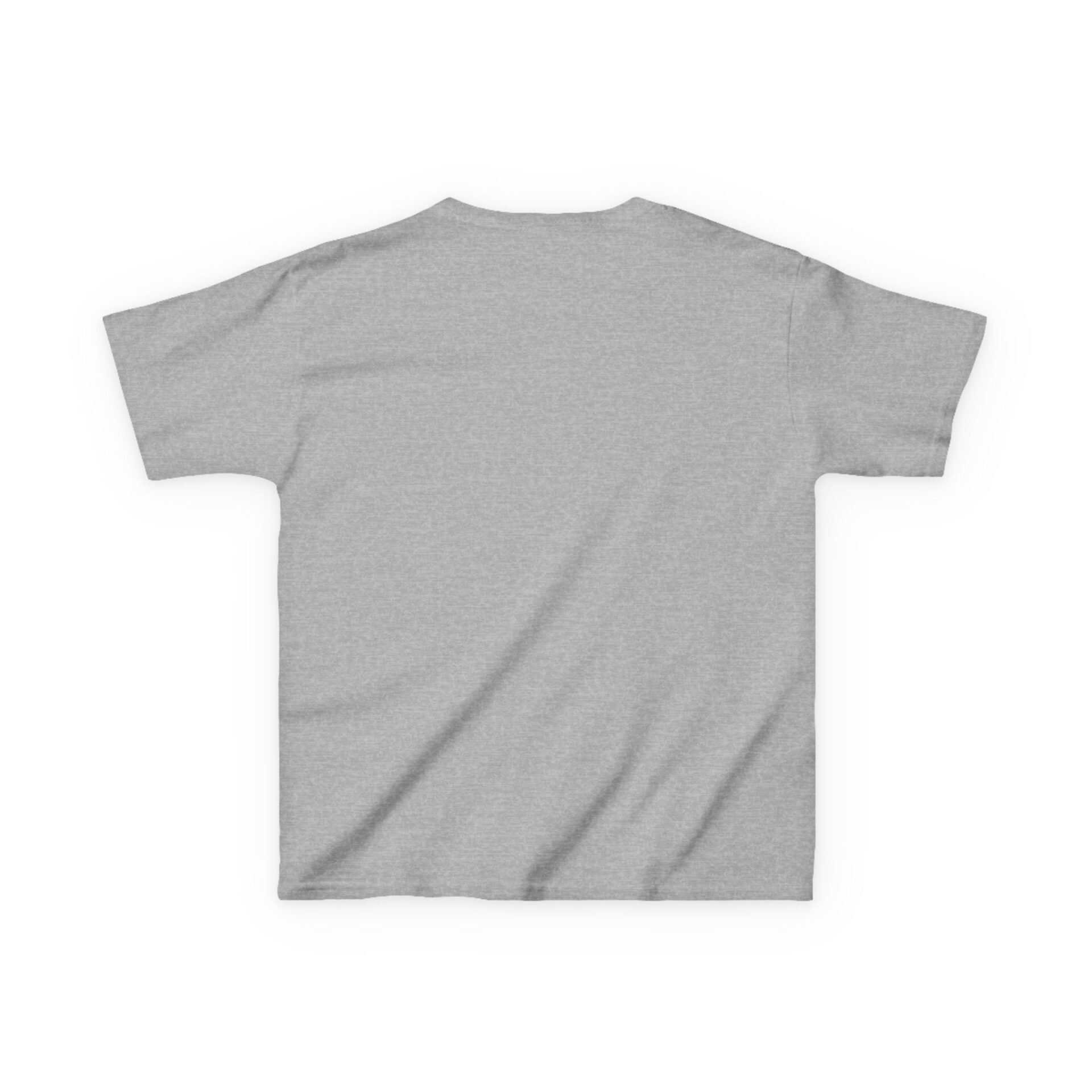 Plain gray T-shirt displayed from the back.