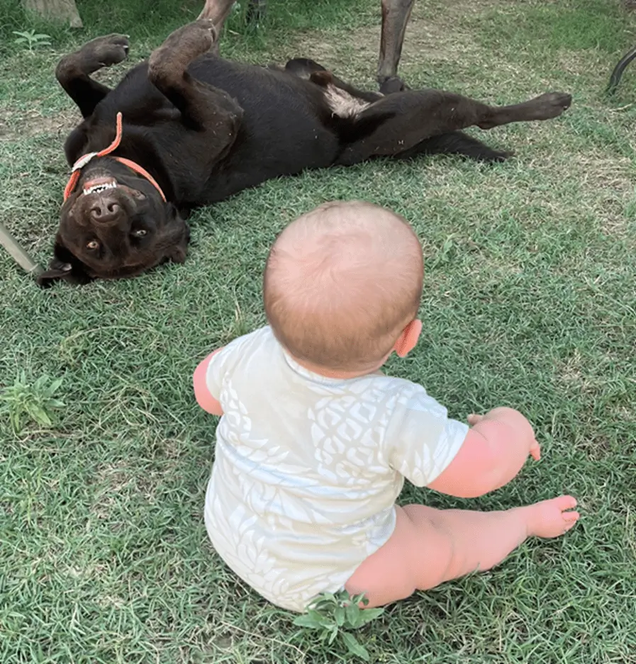 a baby and dog playing together
